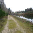 SS 2024 68 Sardón a la orilla del canal y marchistas al fondo del camino.