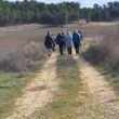 SS 2025 14 Caminando con pinos al fondo