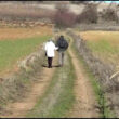 SS 2025 19b Tere y Pedro caminando.